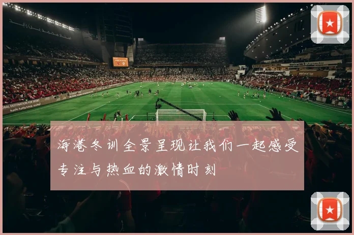 海港冬训全景呈现让我们一起感受专注与热血的激情时刻